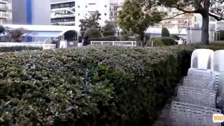 V888AV❤️【9总全国探花】白裙肉肉萌妹，脱掉舔奶调情再到床上猛操呻吟娇喘诱人😁一区二区三区
